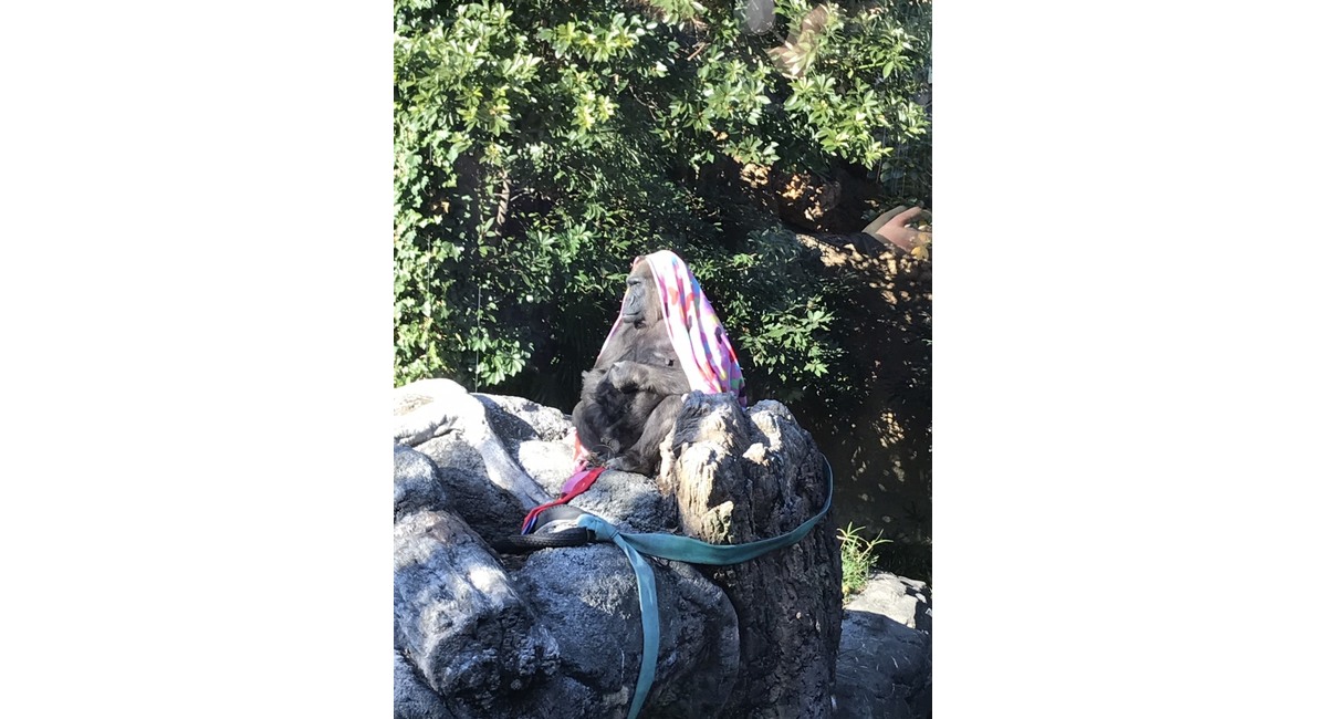 越谷　美容室　美容院　liage