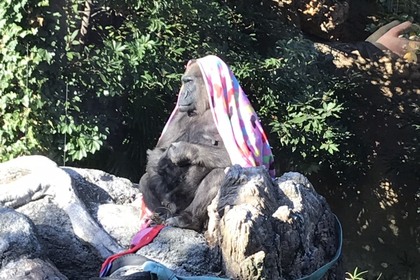 越谷　美容室　美容院　liage