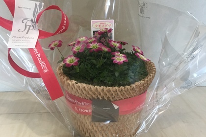 越谷　美容室　美容院　liage