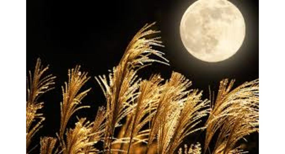 越谷　美容室　美容院　liage