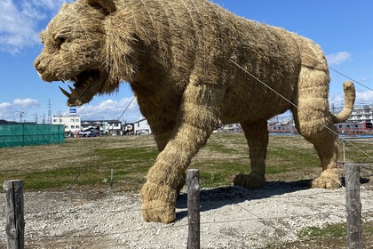 越谷　美容室　美容院　liage