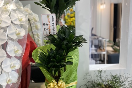 越谷　美容室　美容院　liage