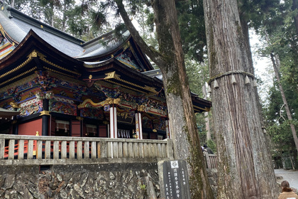 越谷　美容室　美容院　liage