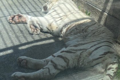 越谷　美容室　美容院　liage