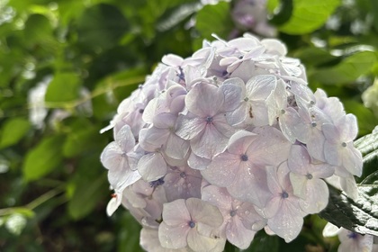 越谷　美容室　美容院　liage　COTA