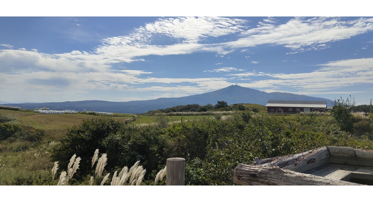 越谷　美容室　美容院　liage　COTA　linkトリートメン　つや髪　美髪