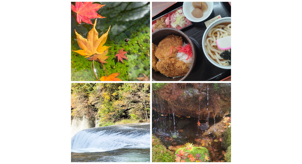 越谷　美容室　美容院　liage　COTA　トリートメント　髪質改善　linkトリートメント　紅葉　吹割の滝