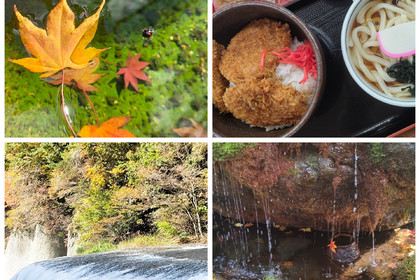 越谷　美容室　美容院　liage　COTA　トリートメント　髪質改善　linkトリートメント　紅葉　吹割の滝