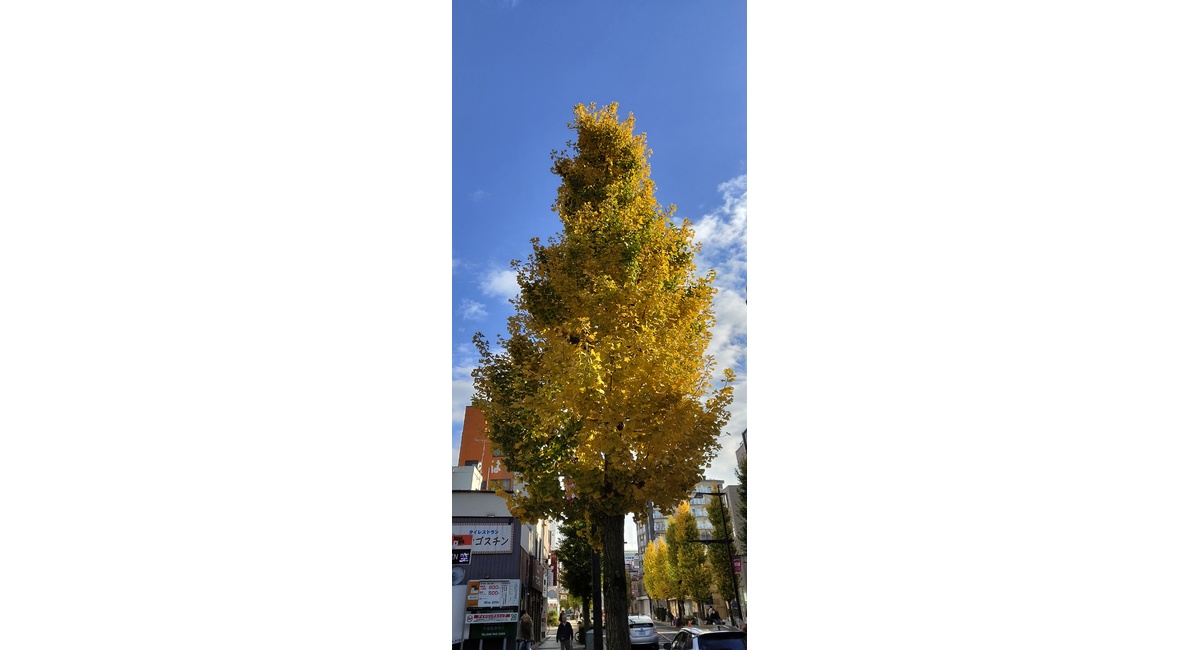 越谷　美容室　美容院　liage　COTA　髪質改善　トリートメント