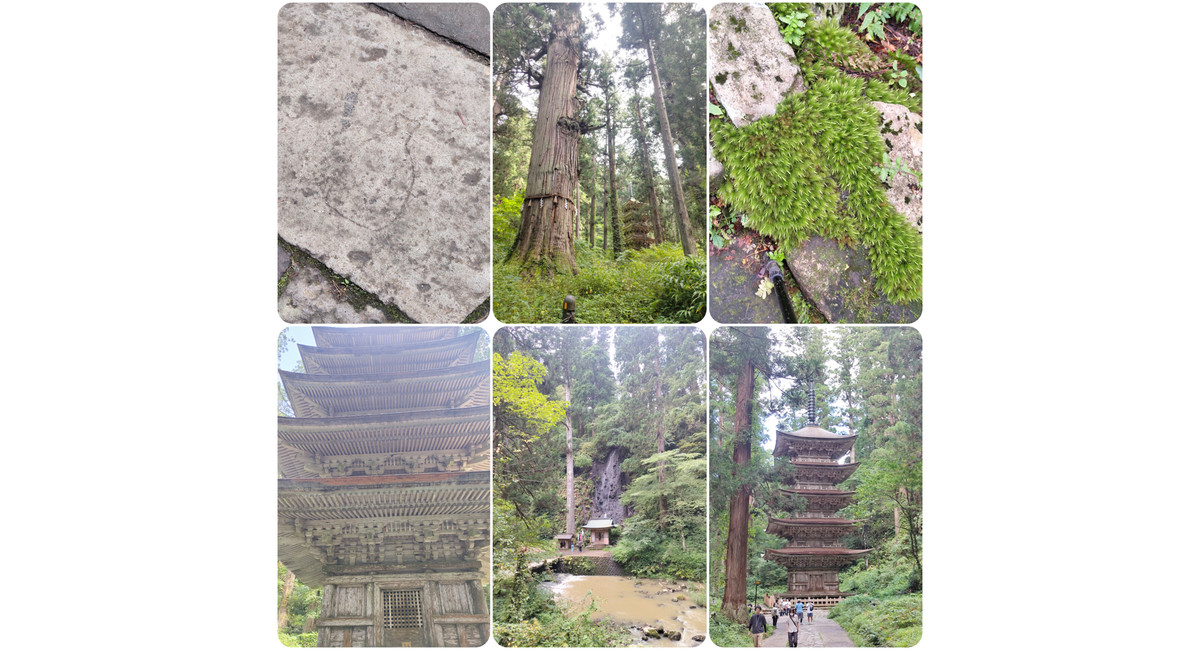 liage 越谷美容室 越谷 美容室 美容院 ヘッドスパ 髪質改善 羽黒山 山形旅行 シルバーウィーク 休日 リフレッシュ 秋のヘアケア